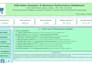 work on data operation, data analysis and dashboards in excel or power bi